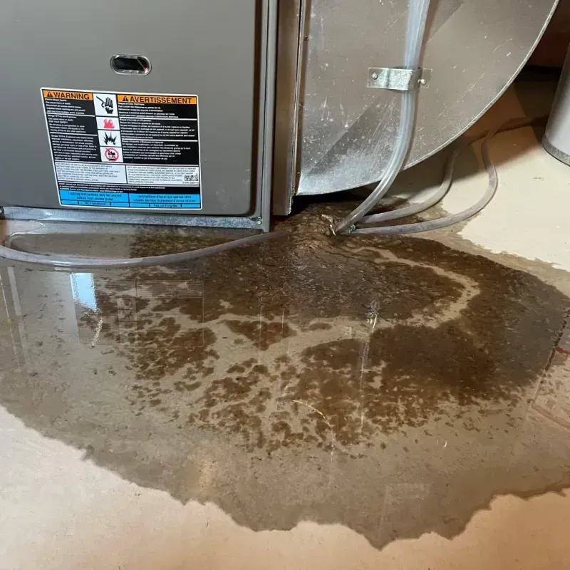 Appliance Leak Cleanup in Kings Point, FL